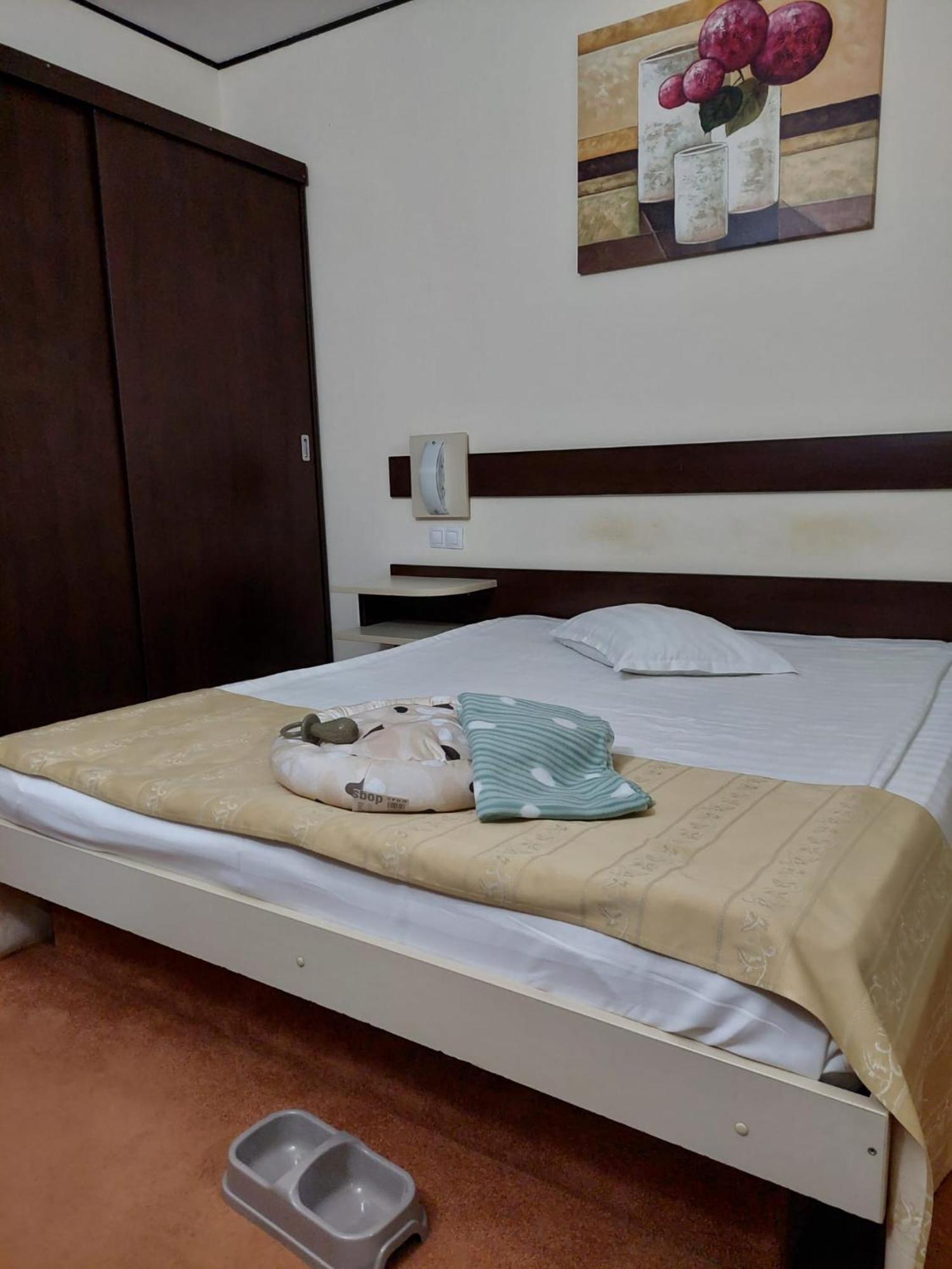 Hotel Rapsodia City Center Botoşani エクステリア 写真