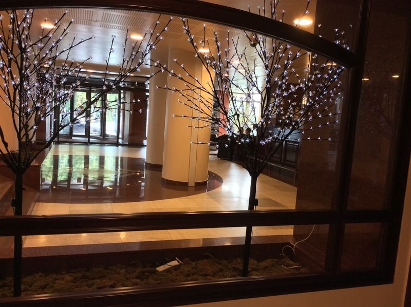 Hotel Rapsodia City Center Botoşani エクステリア 写真